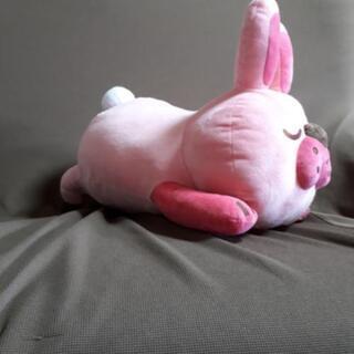 ポコパン ぬいぐるみ （大)の画像