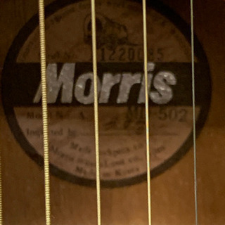 Morris モーリス アコースティックギター アコギ J27