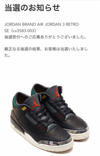 ナイキNIKE ジョーダン3 28.0㎝　新品未使用
