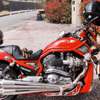 ハーレーダビットソン V-RODの画像