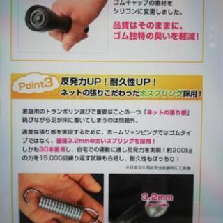 トランポリン【エアロライフ ホームジャンピング DR-6600】の画像