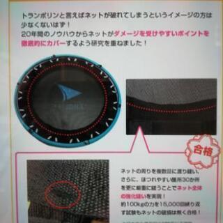 トランポリン【エアロライフ ホームジャンピング DR-6600】の画像