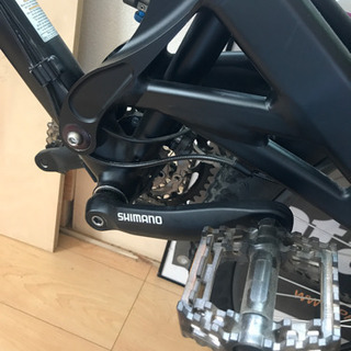 cannondale GeMiNiの画像