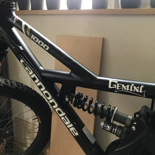 cannondale GeMiNiの画像