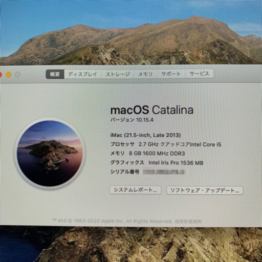 Apple iMac Late 2013 21.5-inch 1TB 8GB