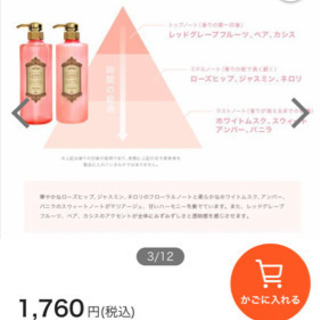 LOG サロンクオリティヘアケア　シャンプー＆リンスの画像