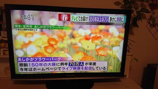 液晶テレビ Panasonic TH-L37G1