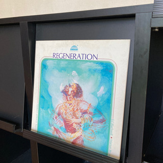 扉付き マガジン・レコードラック譲りますの画像