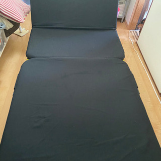 取りに来てくださる方タダでお分けします。の画像