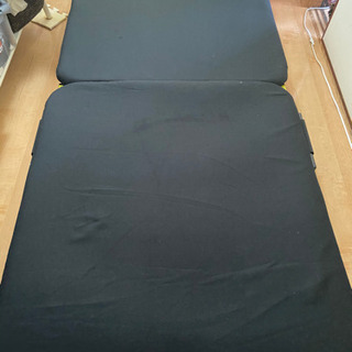 取りに来てくださる方タダでお分けします。の画像