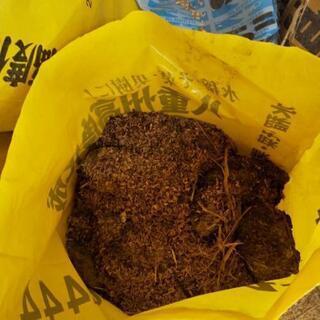 無料もみ殻等  家庭菜園などに