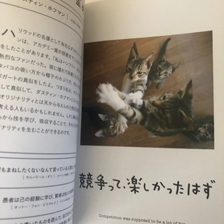 【本】人生はニャンとかなる！の画像