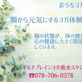 腸活性化ヨガ
