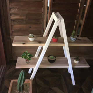 女性限定　DIY 初心者　電動工具入門
