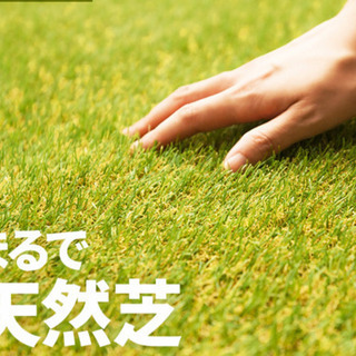 【中古未使用】芝生ロール（人工芝）