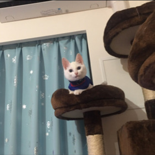 応募多数につき一旦締め切りさせていただきます！