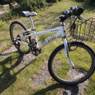 子供用自転車　ルイガノ