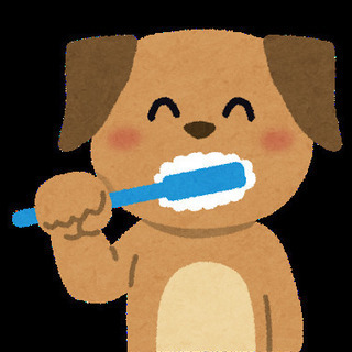 【オンライン講座】愛犬歯みがき講座  // 3歳以上の８割が歯周病 /// 愛犬の歯みがきに自信あり♪といえるように＼(^o^)／（うちの子ケアのポイント指導）の画像