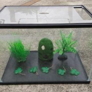水槽 直接渡し限定 コンビニ等待ち合わせ
