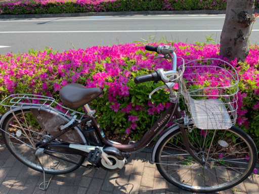 ブリジストン　アシスタ