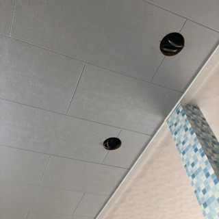 ダウンライト ありませんか？😣