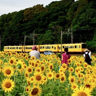三重発　写真サークル『Triple』📸　2020年”特別な夏”に再始動❗️❗️ − 三重県