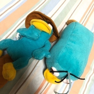 かものはしペリーの画像