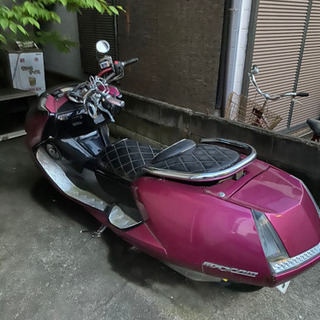 マグザム 不動の画像