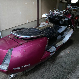 マグザム 不動の画像