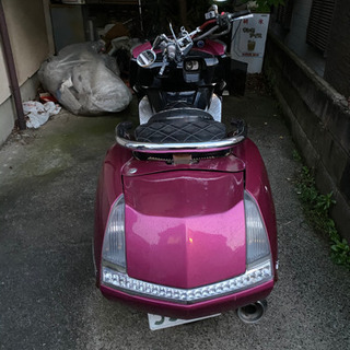 マグザム 不動の画像