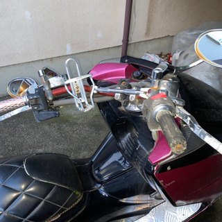 マグザム 不動の画像