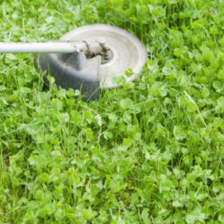 🍃🌱草刈り・除草・伐採・抜根🍃🌱