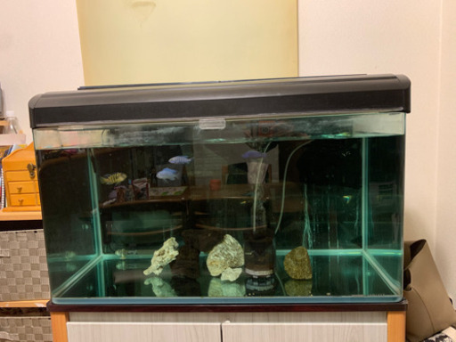 ⭐︎受け渡し決まりました⭐︎90ｾﾝﾁ水槽 KOTOBUKI  LEGLASS