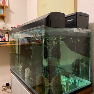 ⭐︎受け渡し決まりました⭐︎90ｾﾝﾁ水槽 KOTOBUKI LEGLASS