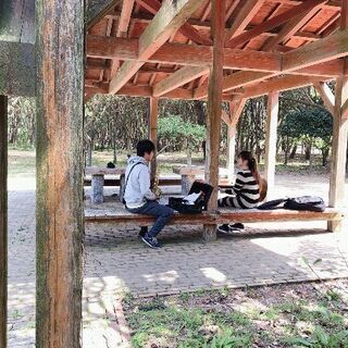 Field Perform