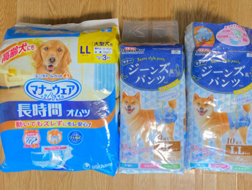 犬用　オムツ