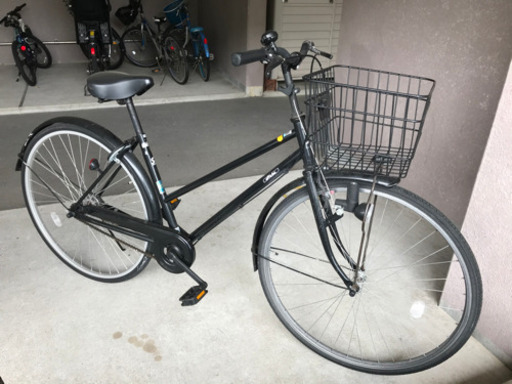 anything goes様専用 えびす草の種3.5kg エビスグサ 決明子 小売業者