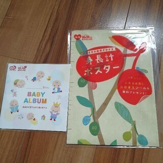 赤ちゃん本舗　身長ポスター　ベビーアルバム