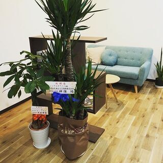 ✨ホワイトニング効果No.1✨伊勢崎に歯のセルフホワイトニング専門店初上陸☆彡　キャンペーン開催中♬  - 美容