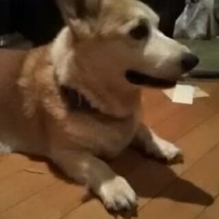 探してます(^-^)v