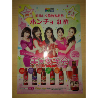 CHUNG JUNG ONE ホンチョ×KARA  クリアファイル