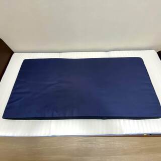 ごろ寝マット【0円でお譲りします】