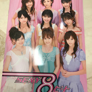 【モーニング娘。】コンサートビジュアルブック2冊　2007年（春、秋）の画像