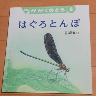 絵本 5冊セットの画像