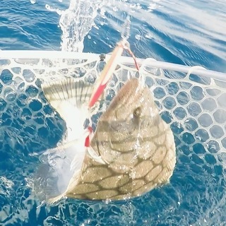 SUPフィッシング体験スクールの画像