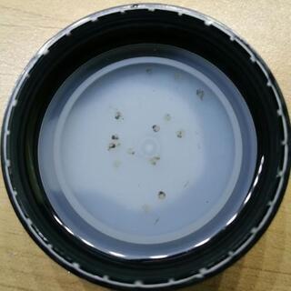 メダカの卵　② 　青みゆき　幹之の画像