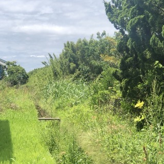 売土地　千葉県山武市成東町木戸 - 山武市