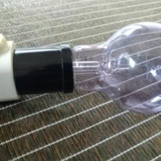 裸電球💡
