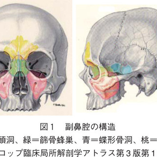 【蓄膿症・副鼻腔炎を改善！】鼻づまり・花粉症で困っている方はぜひボイトレKISS大宮校へ。の画像