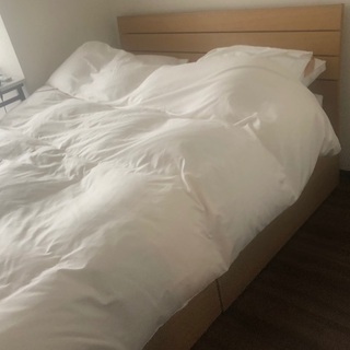 セミダブルベット